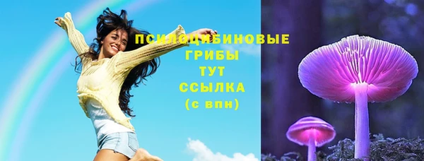 ПСИЛОЦИБИНОВЫЕ ГРИБЫ Абинск