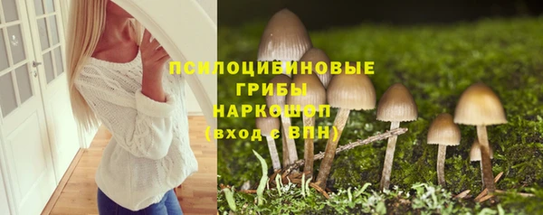 ПСИЛОЦИБИНОВЫЕ ГРИБЫ Абинск