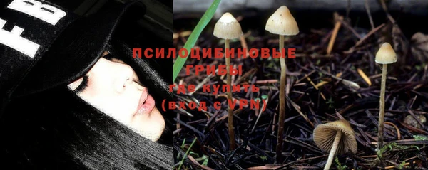 таблы Протвино