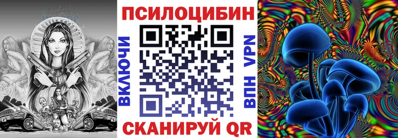 Галлюциногенные грибы Cubensis  Нолинск 